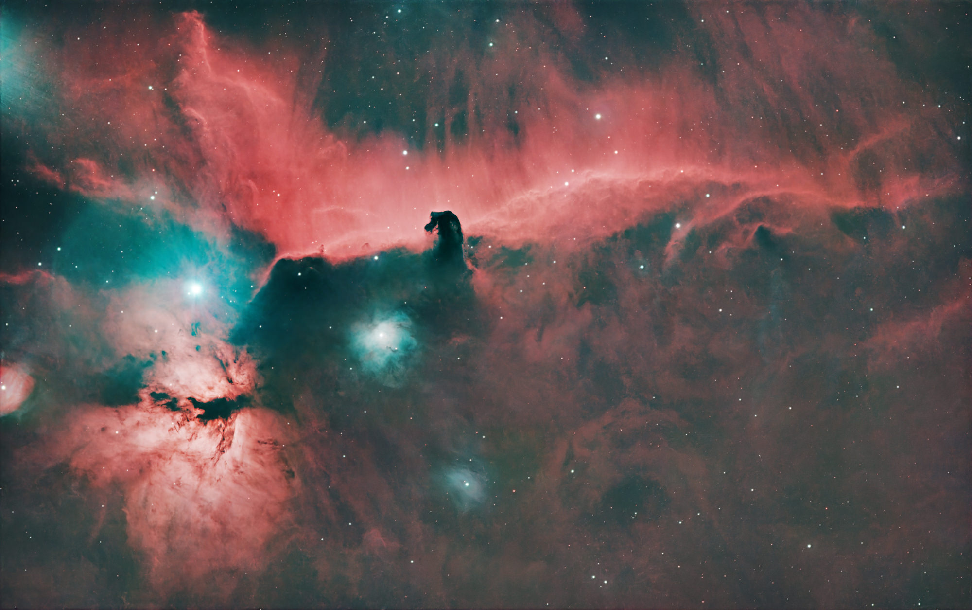 The Horsehead Nebula Barnard 33 or IC 434 is part of a small dark cloud and the Flame Nebula NGC 2024 is an emission nebula in the constellation Orion. Both nebulas are located just to the south of Alnitak, the easternmost star of Orion's Belt.